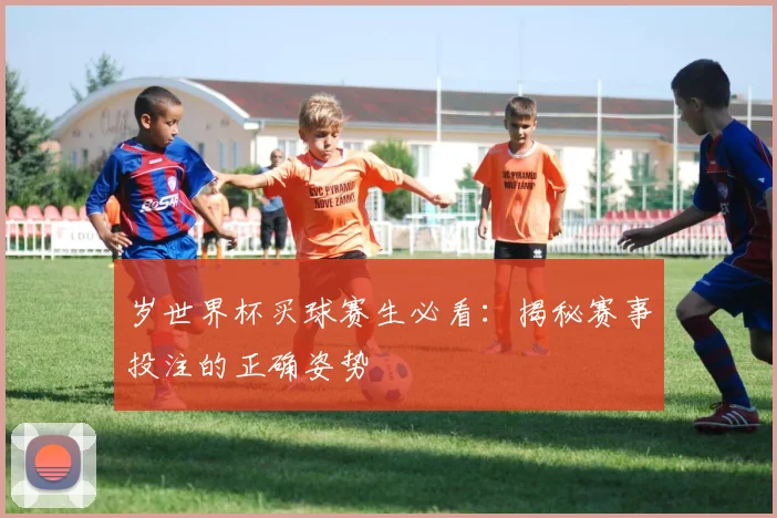 岁世界杯买球赛生必看：揭秘赛事投注的正确姿势