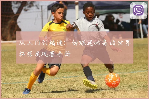 从入门到精通：伪球迷必备的世界杯深度观赛手册