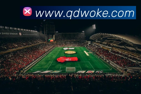 奖项4